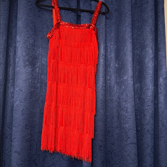 Red Fringe Dress - Picture 3 of 3